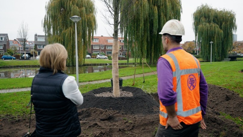 bomenverplanten3_web